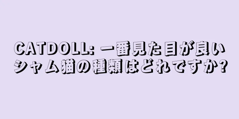 CATDOLL: 一番見た目が良いシャム猫の種類はどれですか?