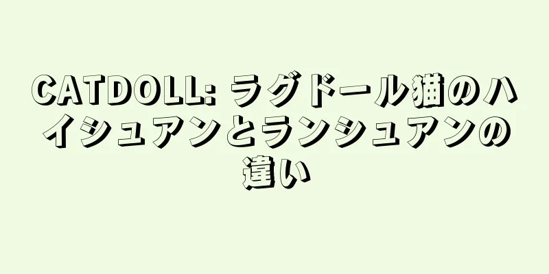 CATDOLL: ラグドール猫のハイシュアンとランシュアンの違い
