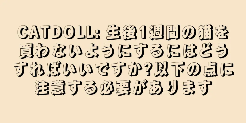 CATDOLL: 生後1週間の猫を買わないようにするにはどうすればいいですか?以下の点に注意する必要があります