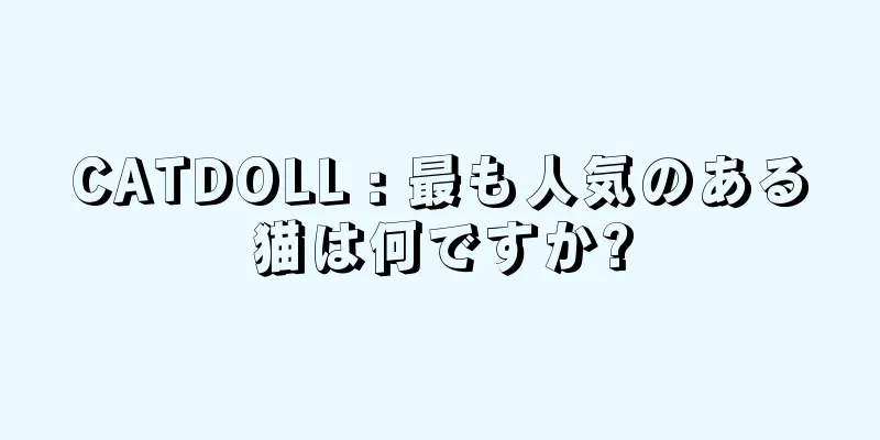 CATDOLL : 最も人気のある猫は何ですか?
