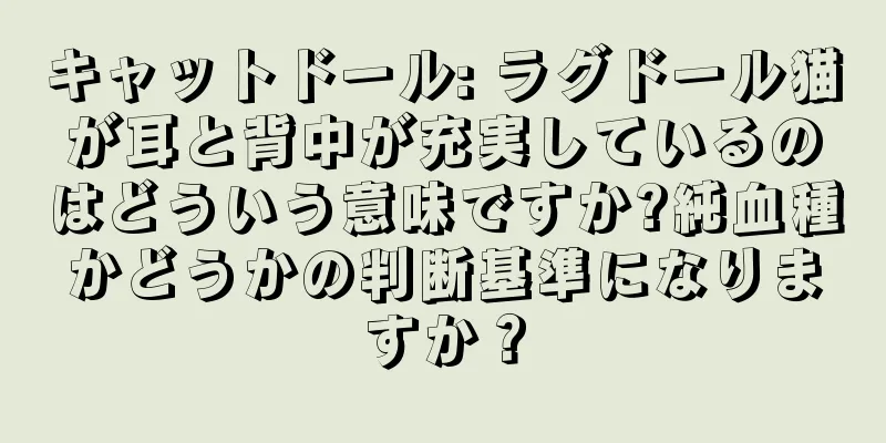 キャットドール: ラグドール猫が耳と背中が充実しているのはどういう意味ですか?純血種かどうかの判断基準になりますか？