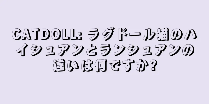 CATDOLL: ラグドール猫のハイシュアンとランシュアンの違いは何ですか?