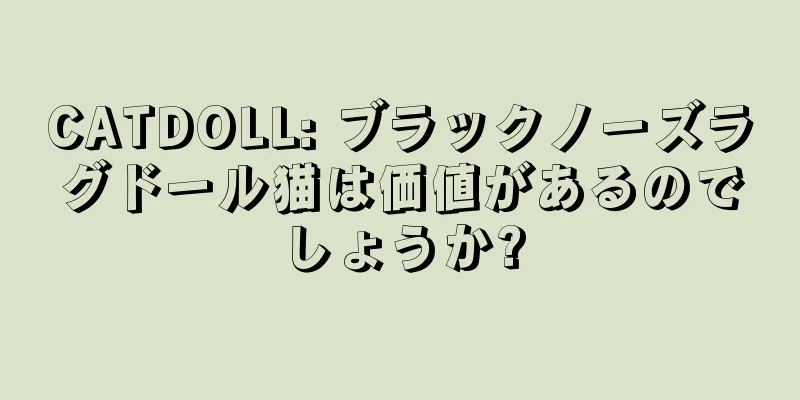 CATDOLL: ブラックノーズラグドール猫は価値があるのでしょうか?
