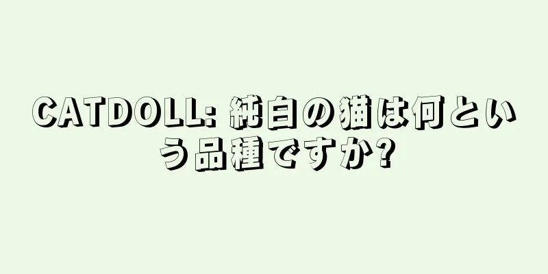 CATDOLL: 純白の猫は何という品種ですか?