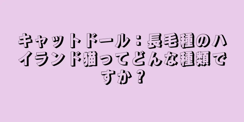 キャットドール：長毛種のハイランド猫ってどんな種類ですか？