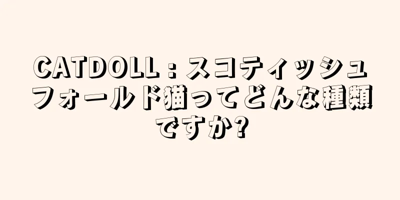 CATDOLL : スコティッシュフォールド猫ってどんな種類ですか?