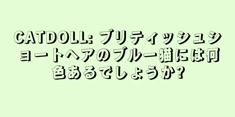 CATDOLL: ブリティッシュショートヘアのブルー猫には何色あるでしょうか?