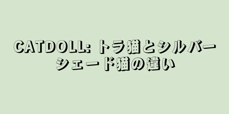 CATDOLL: トラ猫とシルバーシェード猫の違い
