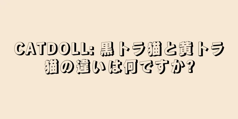CATDOLL: 黒トラ猫と黄トラ猫の違いは何ですか?