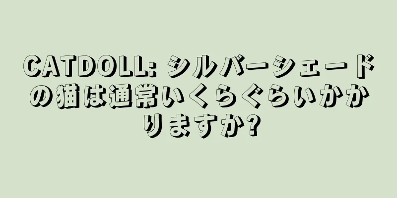 CATDOLL: シルバーシェードの猫は通常いくらぐらいかかりますか?