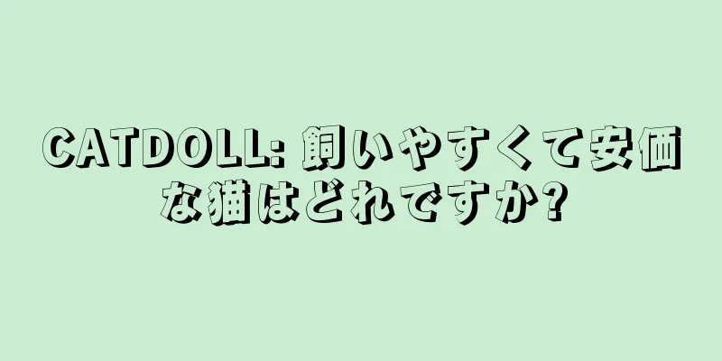 CATDOLL: 飼いやすくて安価な猫はどれですか?