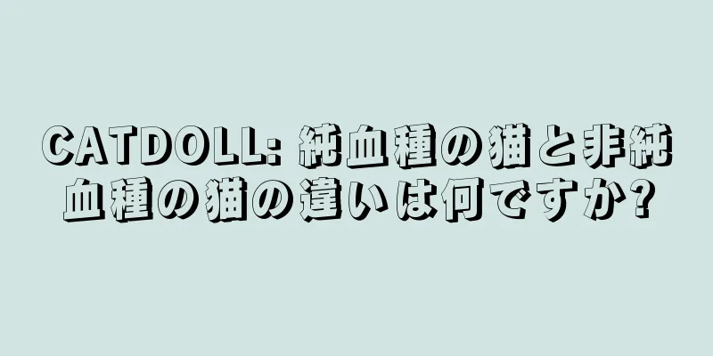 CATDOLL: 純血種の猫と非純血種の猫の違いは何ですか?