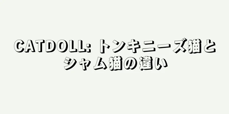CATDOLL: トンキニーズ猫とシャム猫の違い