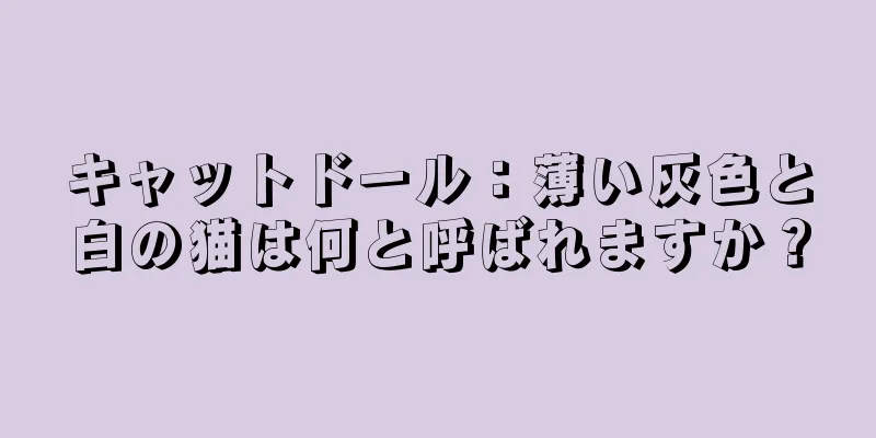 キャットドール：薄い灰色と白の猫は何と呼ばれますか？