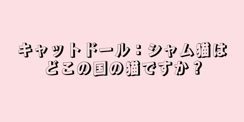 キャットドール：シャム猫はどこの国の猫ですか？