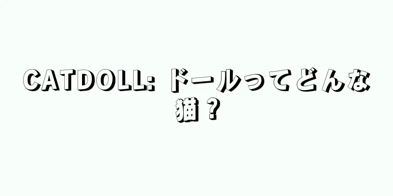 CATDOLL: ドールってどんな猫？