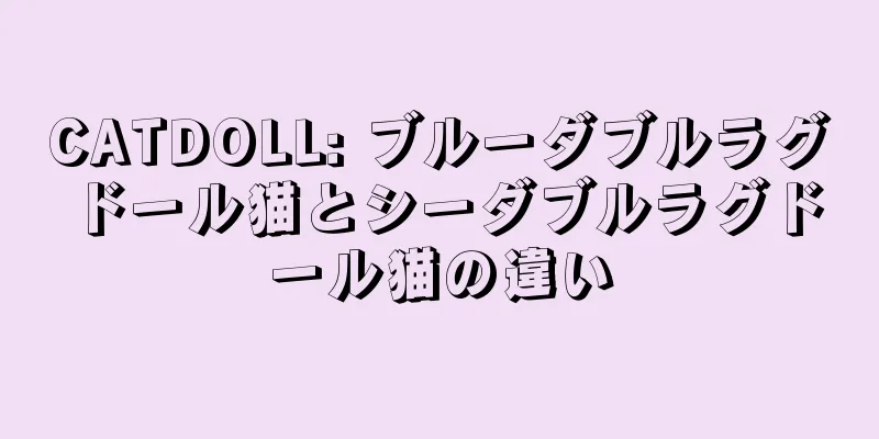 CATDOLL: ブルーダブルラグドール猫とシーダブルラグドール猫の違い