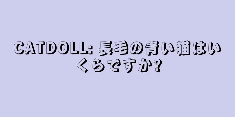 CATDOLL: 長毛の青い猫はいくらですか?