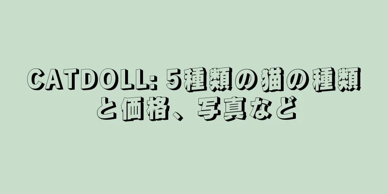 CATDOLL: 5種類の猫の種類と価格、写真など