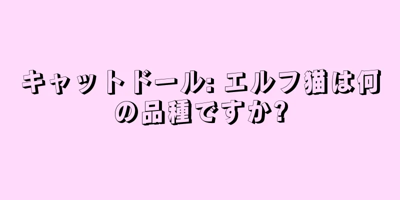 キャットドール: エルフ猫は何の品種ですか?