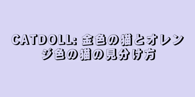 CATDOLL: 金色の猫とオレンジ色の猫の見分け方