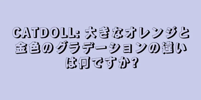 CATDOLL: 大きなオレンジと金色のグラデーションの違いは何ですか?