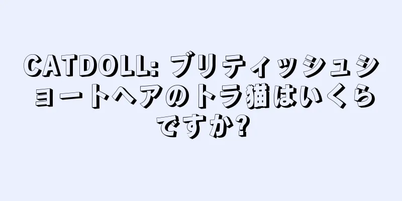 CATDOLL: ブリティッシュショートヘアのトラ猫はいくらですか?