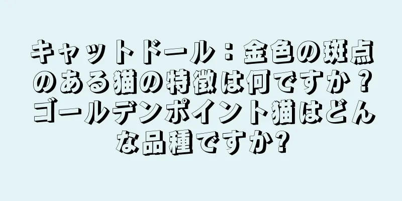 キャットドール：金色の斑点のある猫の特徴は何ですか？ゴールデンポイント猫はどんな品種ですか?