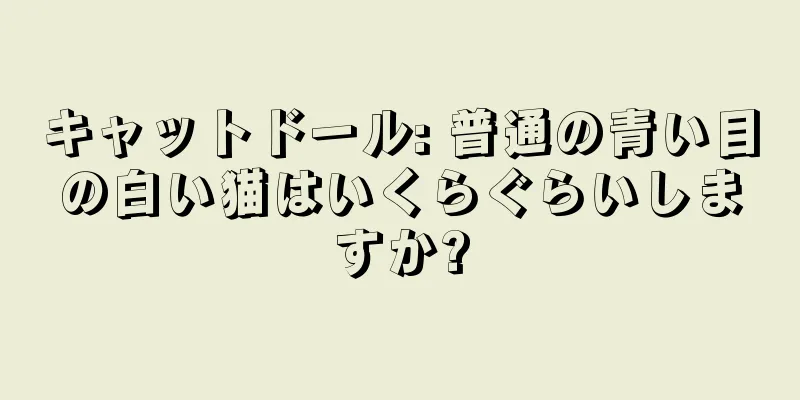 キャットドール: 普通の青い目の白い猫はいくらぐらいしますか?