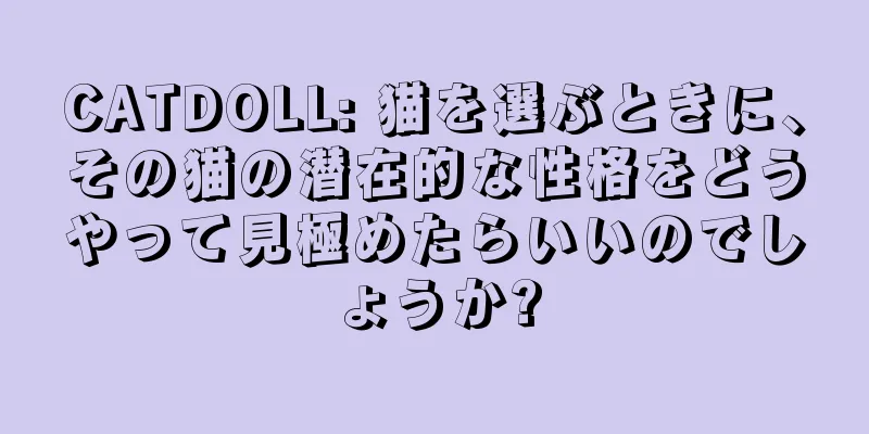 CATDOLL: 猫を選ぶときに、その猫の潜在的な性格をどうやって見極めたらいいのでしょうか?