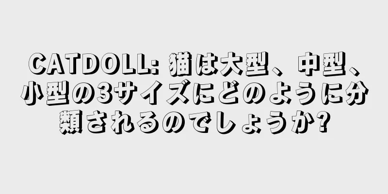 CATDOLL: 猫は大型、中型、小型の3サイズにどのように分類されるのでしょうか?