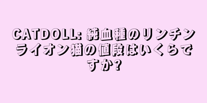 CATDOLL: 純血種のリンチンライオン猫の値段はいくらですか?