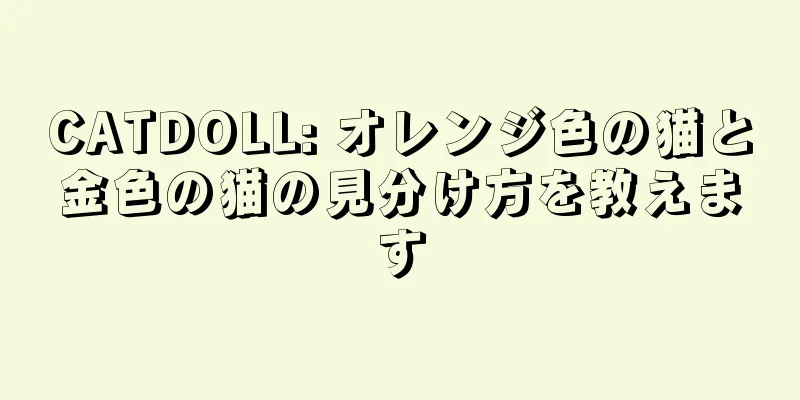 CATDOLL: オレンジ色の猫と金色の猫の見分け方を教えます