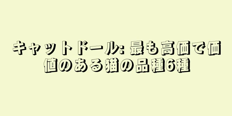 キャットドール: 最も高価で価値のある猫の品種6種