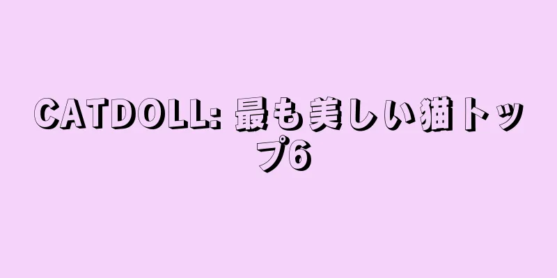 CATDOLL: 最も美しい猫トップ6