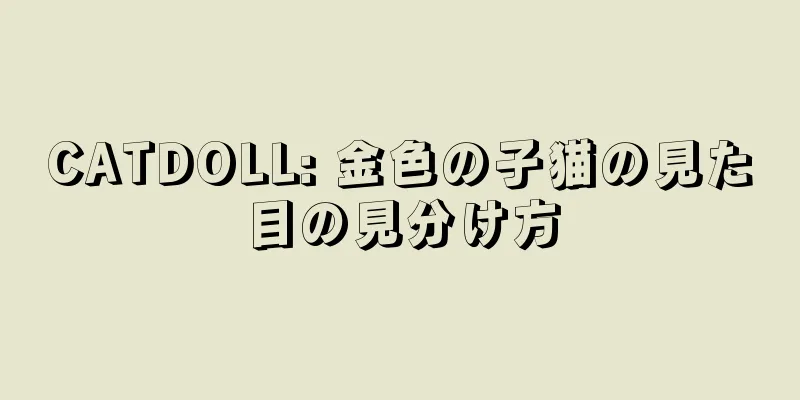 CATDOLL: 金色の子猫の見た目の見分け方
