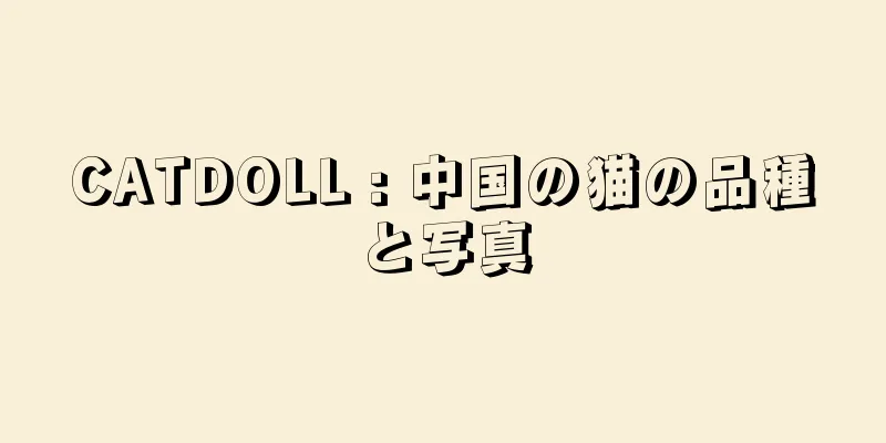 CATDOLL : 中国の猫の品種と写真