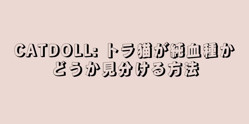 CATDOLL: トラ猫が純血種かどうか見分ける方法