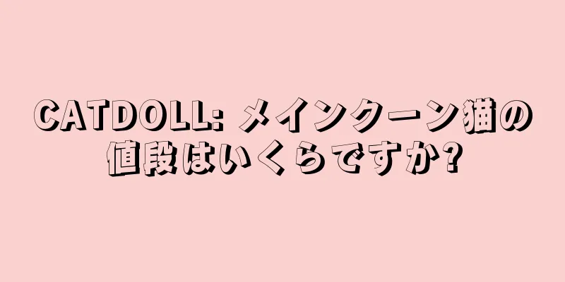 CATDOLL: メインクーン猫の値段はいくらですか?