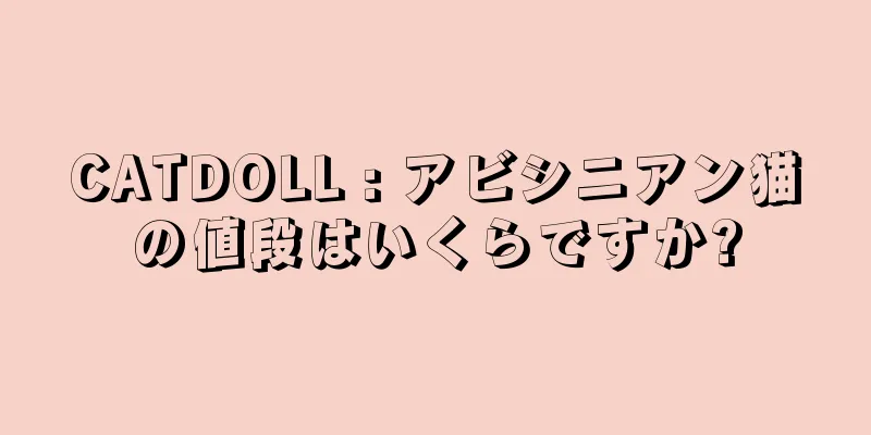 CATDOLL : アビシニアン猫の値段はいくらですか?