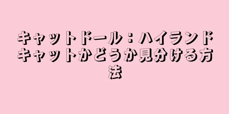 キャットドール：ハイランドキャットかどうか見分ける方法