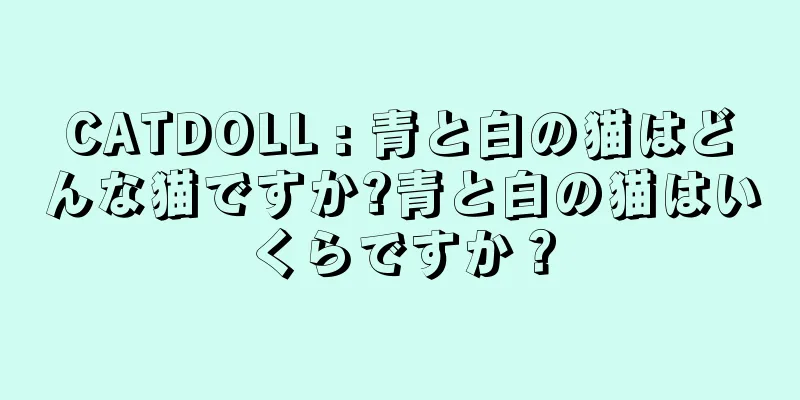 CATDOLL : 青と白の猫はどんな猫ですか?青と白の猫はいくらですか？