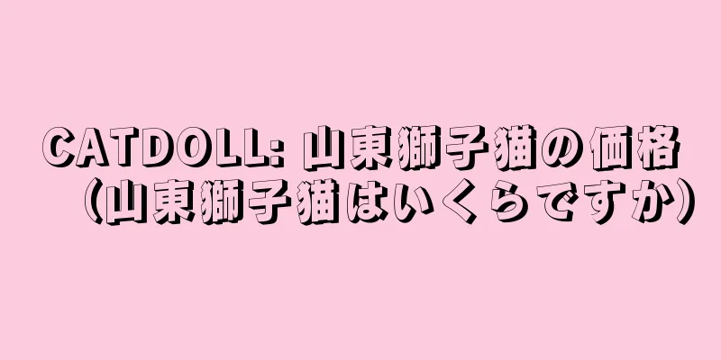 CATDOLL: 山東獅子猫の価格（山東獅子猫はいくらですか）