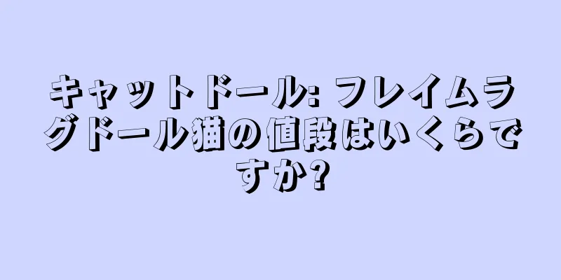 キャットドール: フレイムラグドール猫の値段はいくらですか?