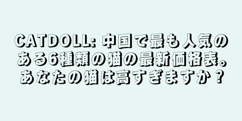 CATDOLL: 中国で最も人気のある6種類の猫の最新価格表。あなたの猫は高すぎますか？
