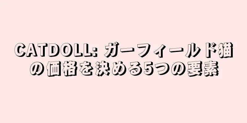 CATDOLL: ガーフィールド猫の価格を決める5つの要素