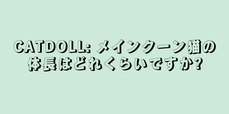CATDOLL: メインクーン猫の体長はどれくらいですか?