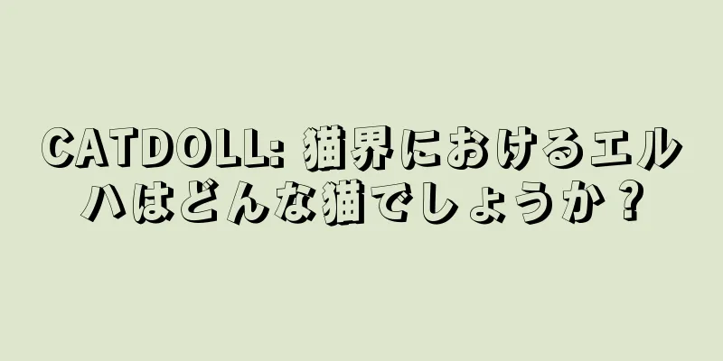 CATDOLL: 猫界におけるエルハはどんな猫でしょうか？