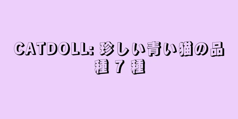 CATDOLL: 珍しい青い猫の品種 7 種