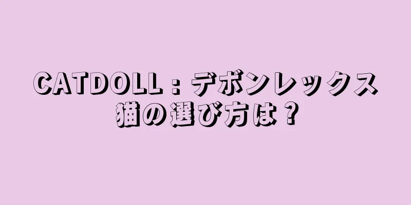 CATDOLL : デボンレックス猫の選び方は？